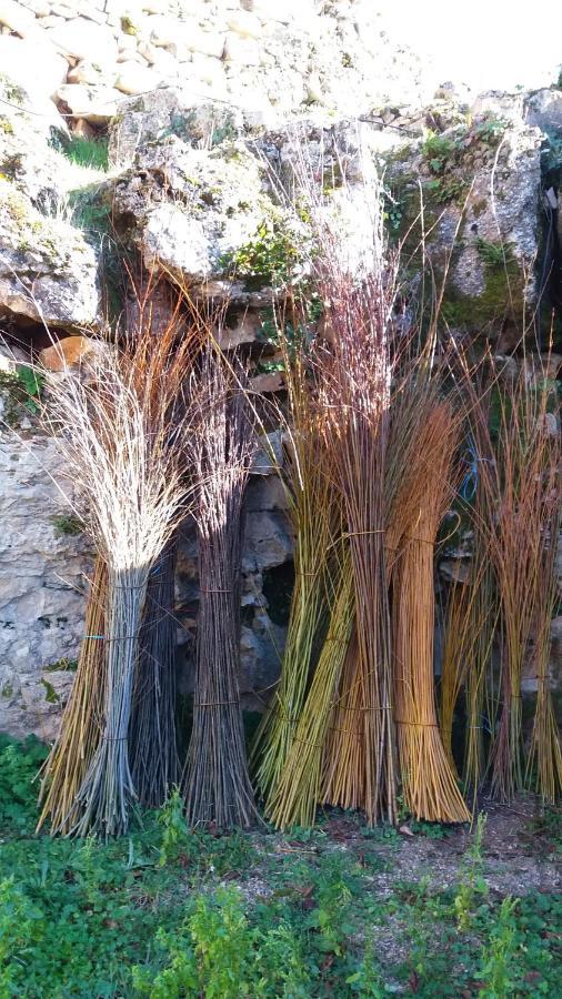 L'Oseraie Du Quercy Calvignac Exterior foto